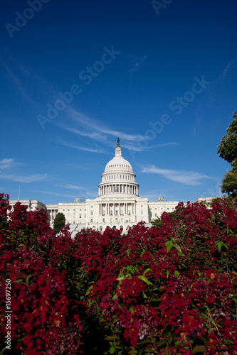 Capitol building, Washington D.C. © Dave Newman