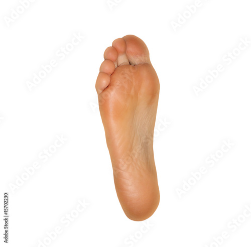Piede