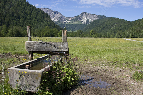 wasser trog photo