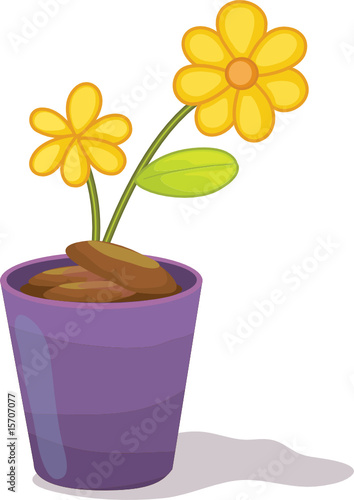 Yellow flowers