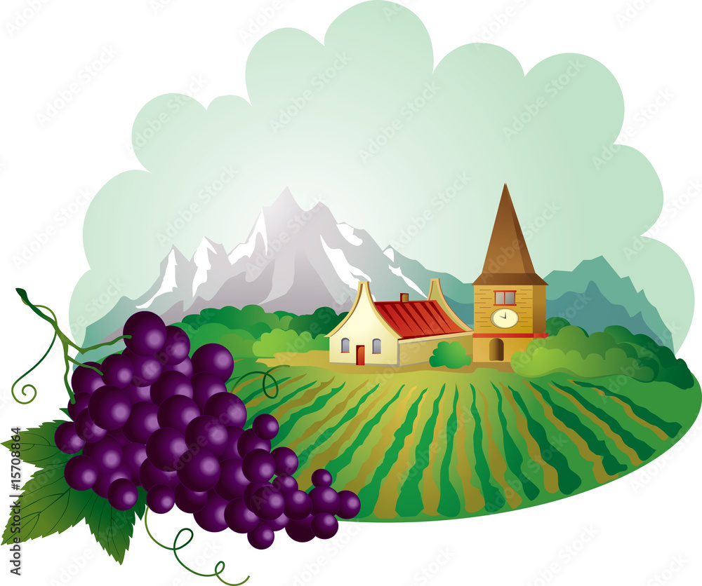 Provence background with grape