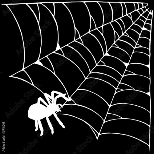 spider in the web illustration
