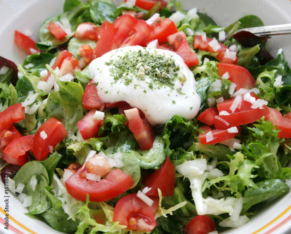 frischer salat frischer salat