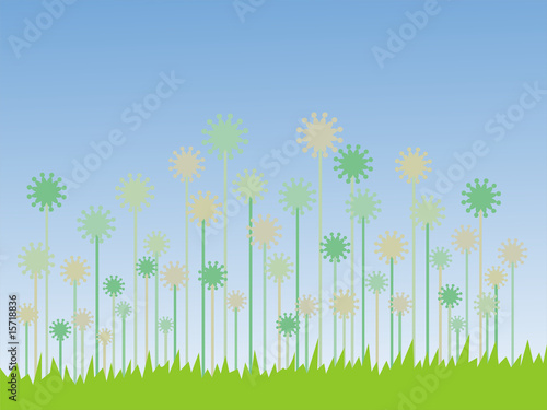 blumenwiese
