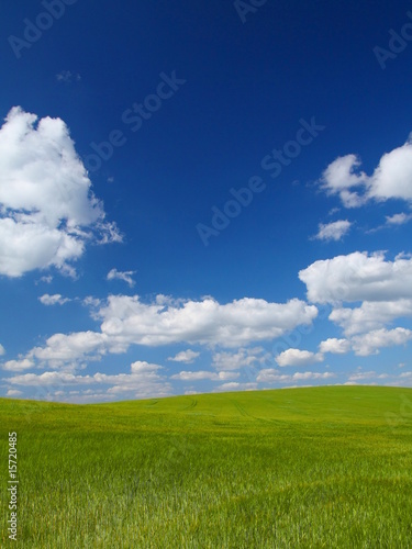 Grüne Idylle
