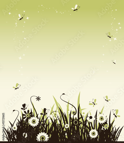 Summer meadow beautiful