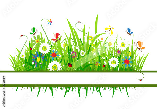 Summer meadow beautiful