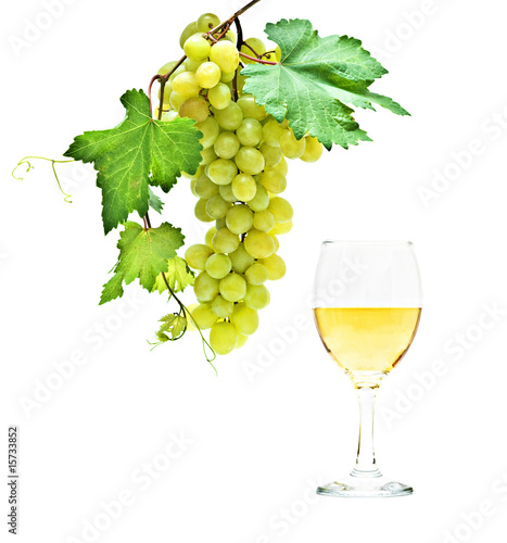 Goblet with wine and grapevine isolated on white background
