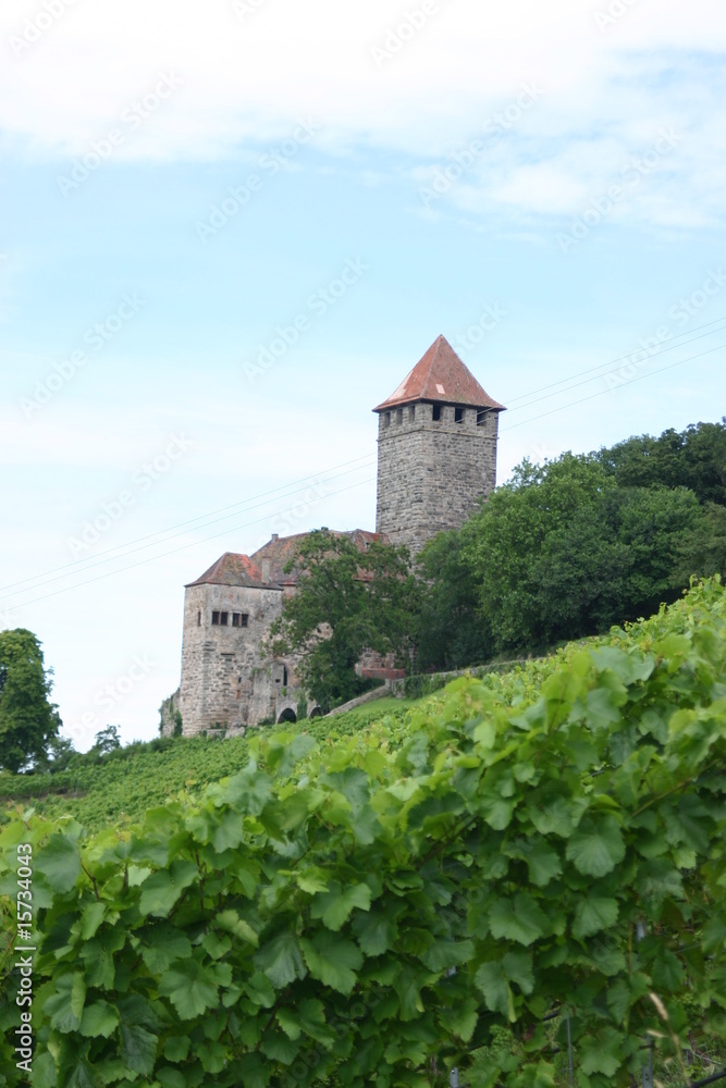 Burg in den Weinbergen