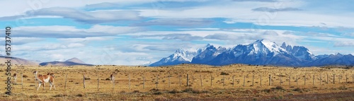 Patagonie panoramique
