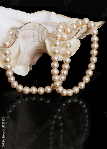 Pearl necklace in sea shell