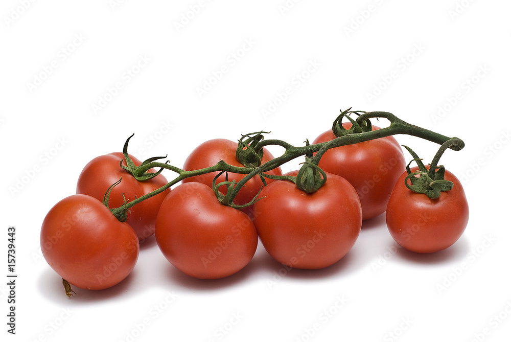 Tomates en rama. Tomates en rama.