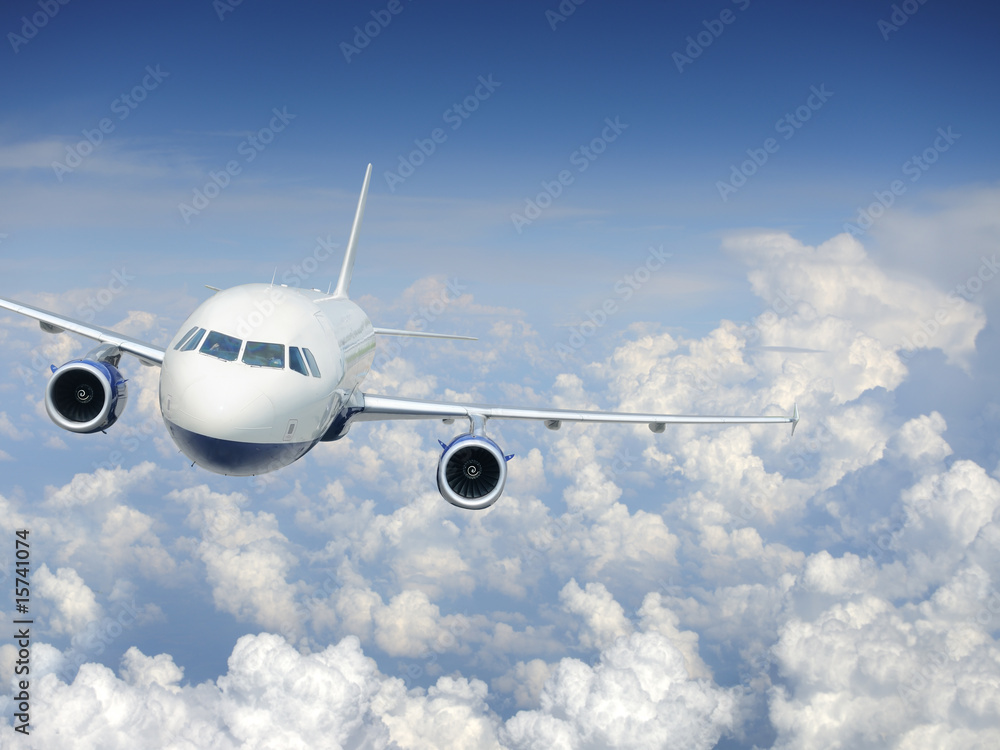 Naklejka premium Airplane in the sky