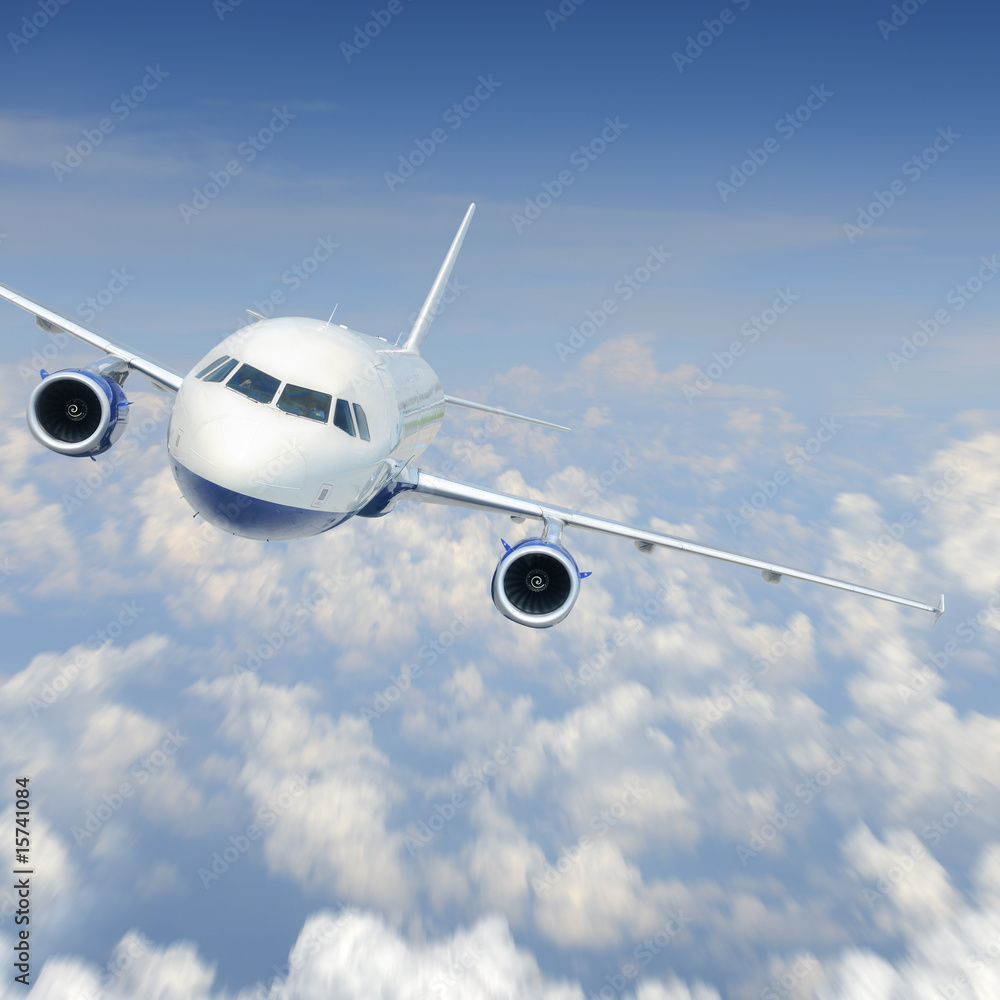 Fototapeta premium Airplane in the sky
