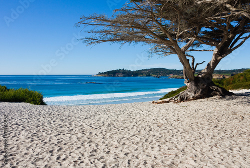 Beach on a sunny day