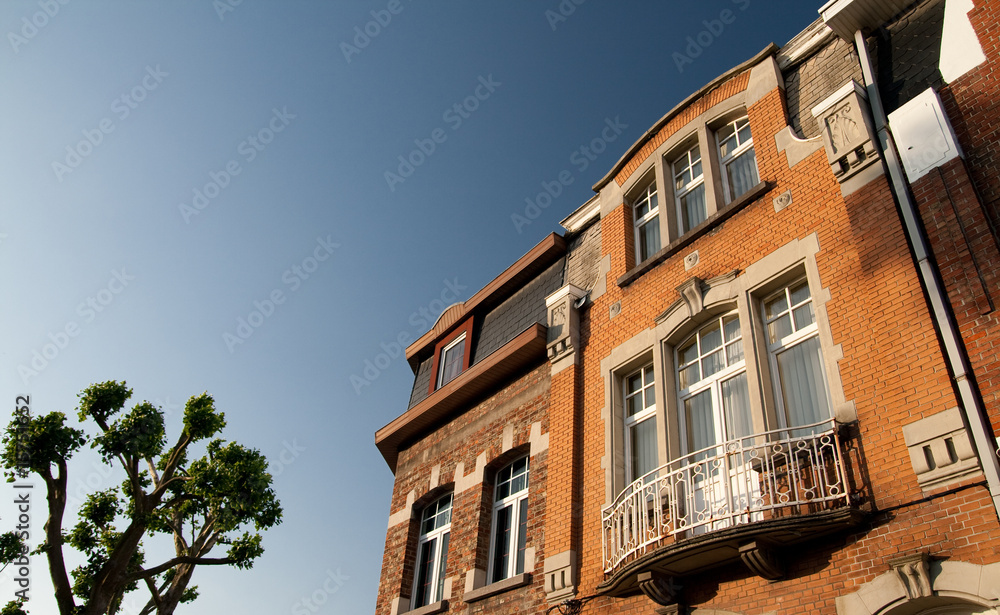 Obraz premium Town house