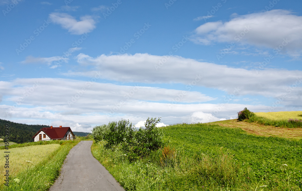 Fototapeta premium Road To Home