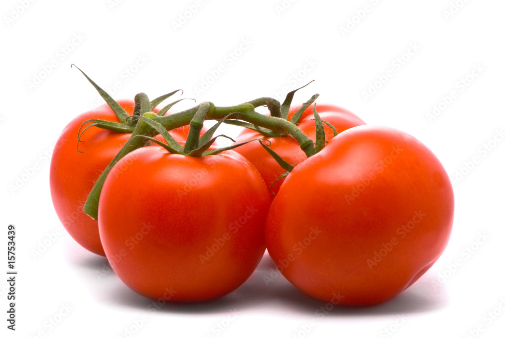 Fresh tomatoes. Macro studio isolated on white. Fresh tomatoes. Macro studio isolated on white.
