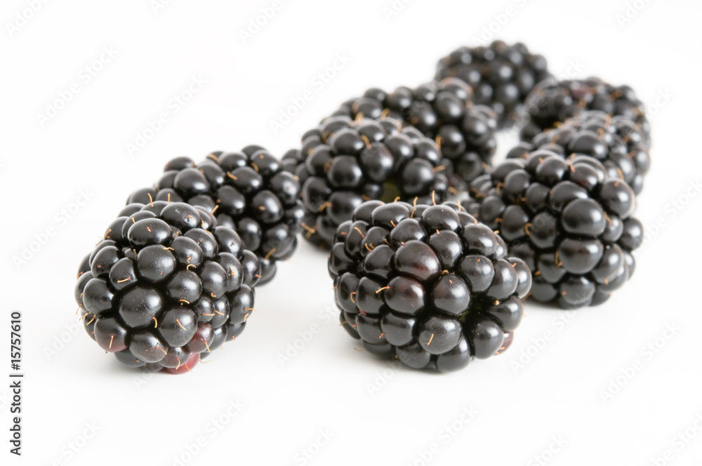 Brombeeren Brombeeren