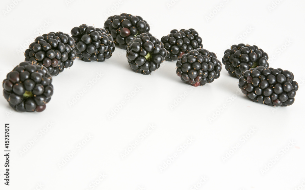 Brombeeren Brombeeren