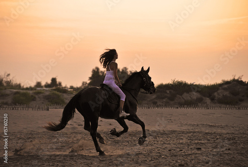 Εκτύπωση καμβά galop sur la plage