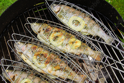 Grillen Forelle - grilling trout 06 photo