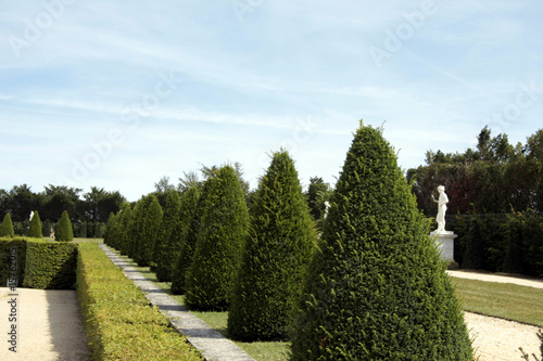 Versailles, perspective sur les haies