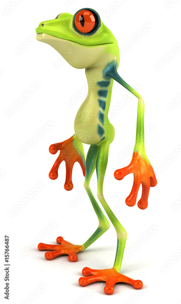 Fototapeta premium Grenouille