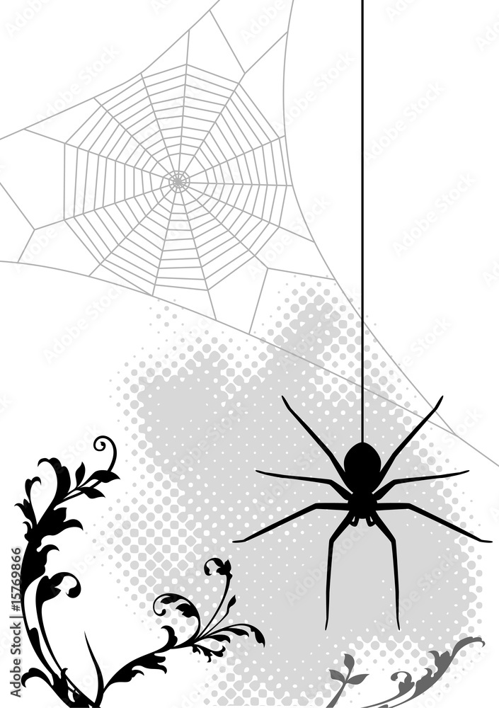 Fototapeta premium 蜘蛛と蜘蛛の巣