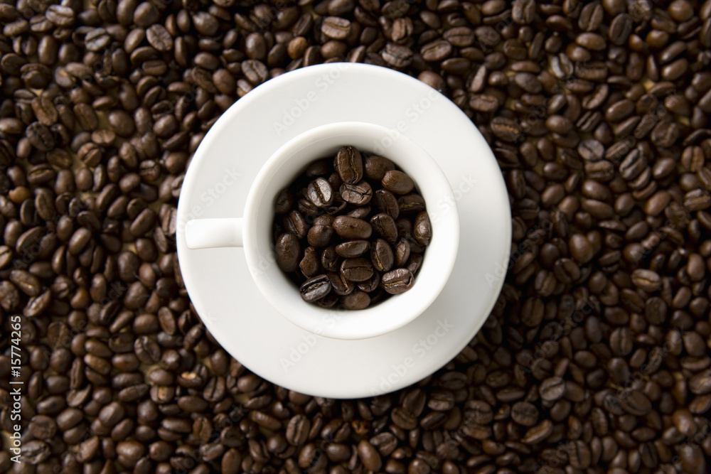 コーヒー豆 コーヒー豆