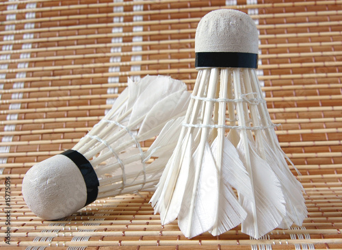 Shuttlecocks