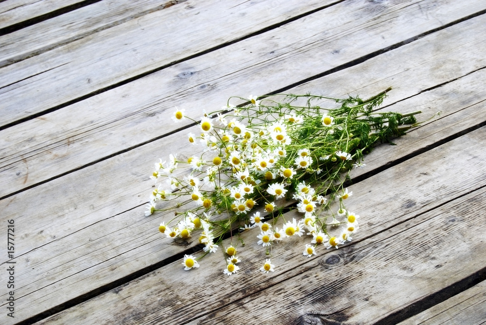 Obraz premium Bouquet of daisy on the pier