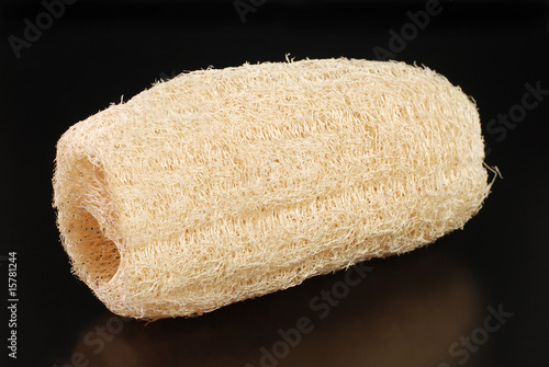 bucha vegetal e sabonete