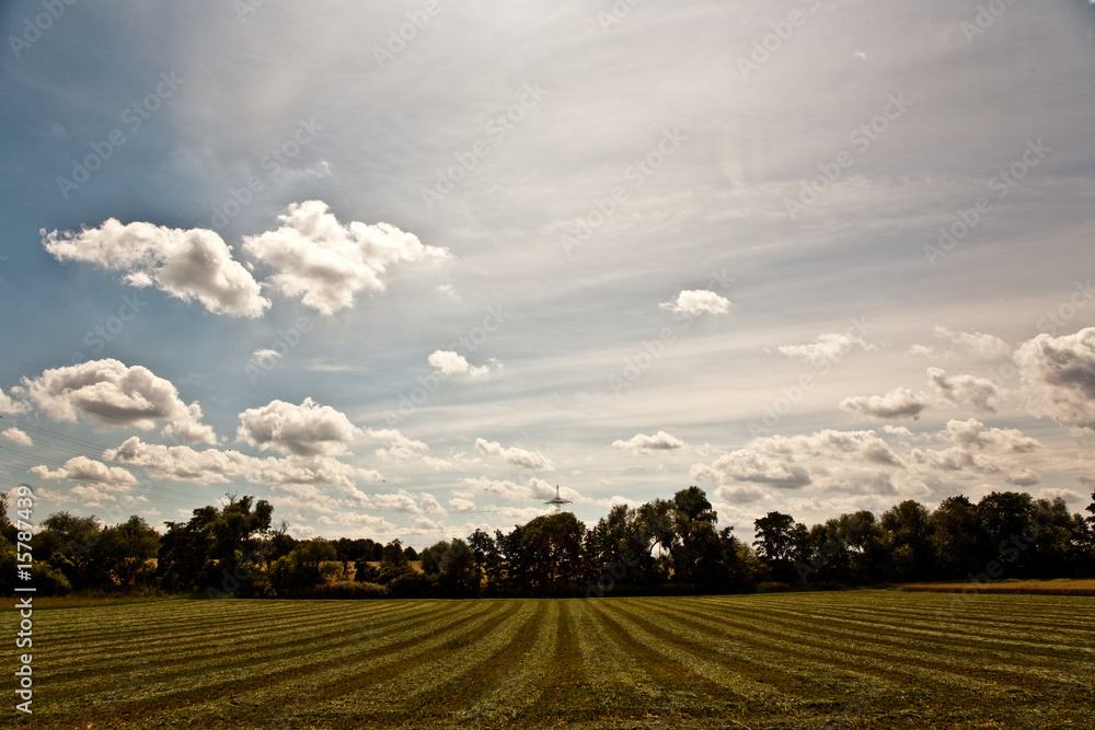 weisse Wolken am blauen Himmel über Feldern