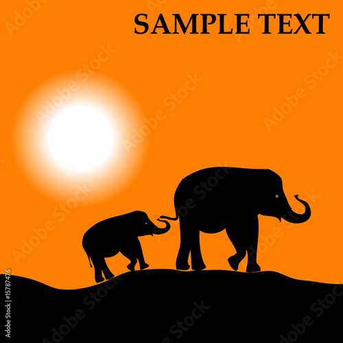 Africa landscape with sundown and elephants