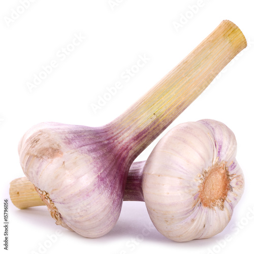 Frischer Knoblauch
