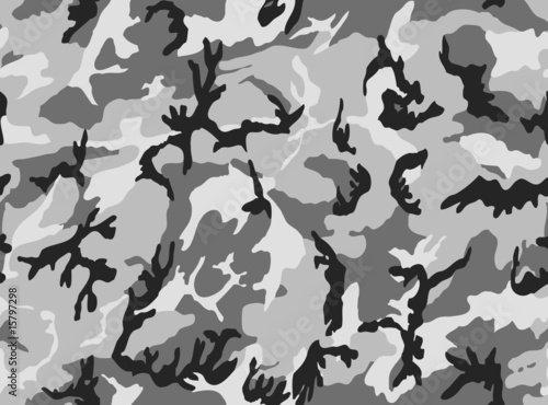 Camouflage I