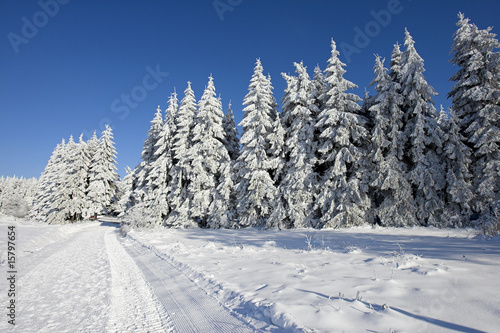 Schneelandschaft im Vogelsberg  Deutschland.