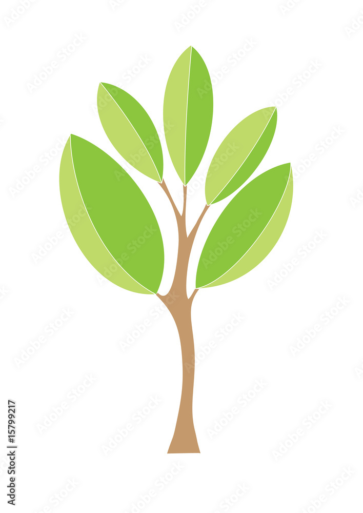 Obraz premium green tree