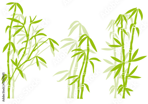 Fototapeta Naklejka Na Ścianę i Meble -  Bamboo tree silhouettes, vector