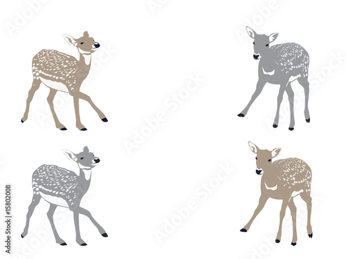 two fawns playing
