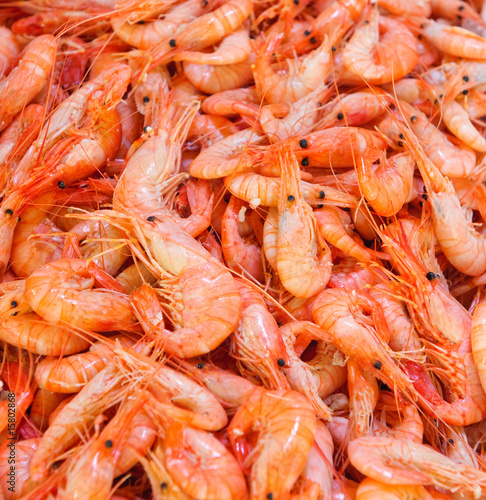 shrimps at fishmarket