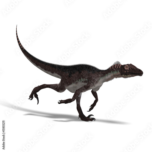 Dinosaur Utahraptor © Ralf Kraft