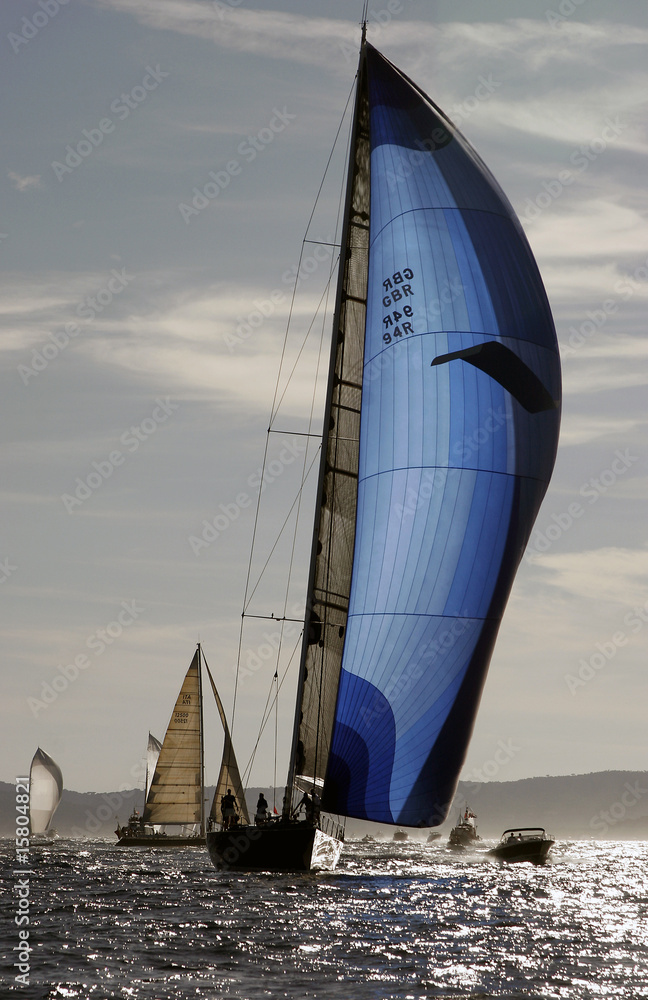 Obraz premium Magic Carpet 2