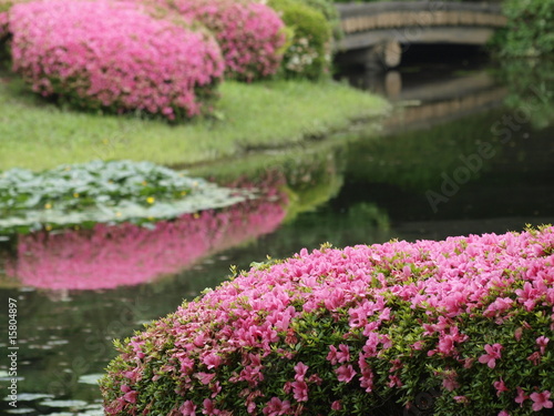 Jardin del Palacio Imperial en Tokio