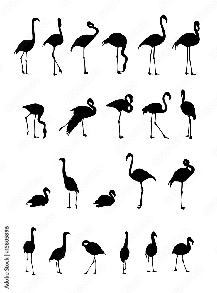 Fototapeta premium flamingo silhouettes collection