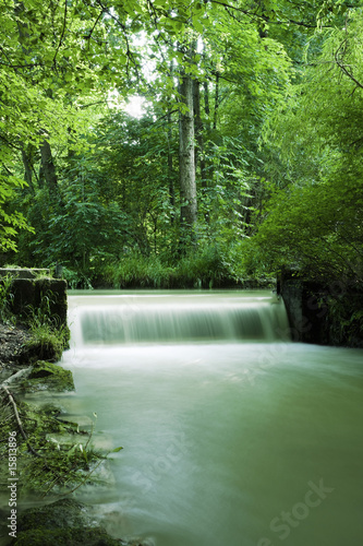 Obraz na plátně clear river stream