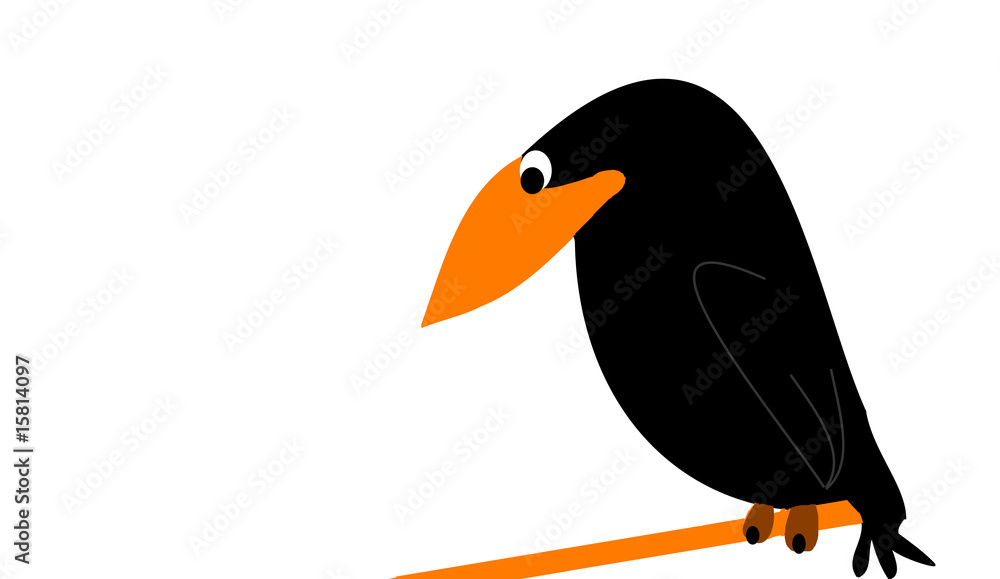 Fototapeta premium der vogel