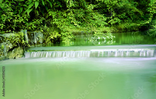 river stream on a sunny day