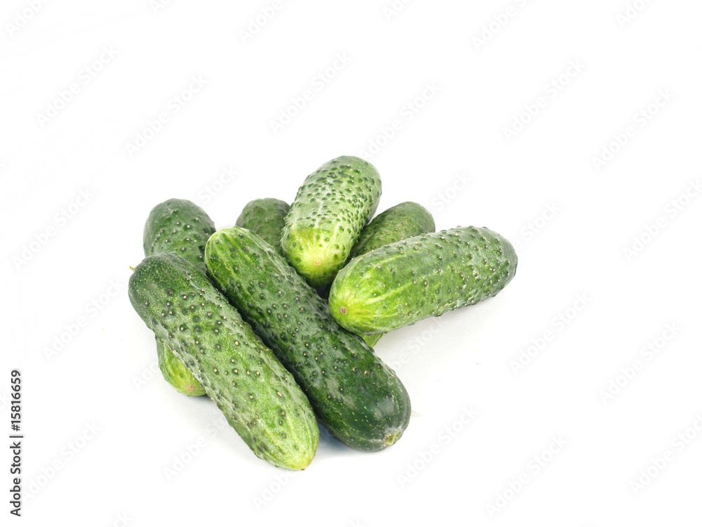 fresh cucumbers fresh cucumbers